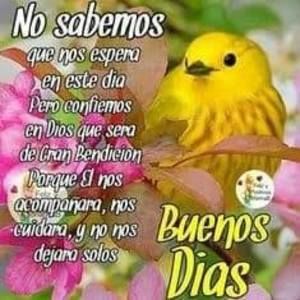 Meet your Posher, Fatima